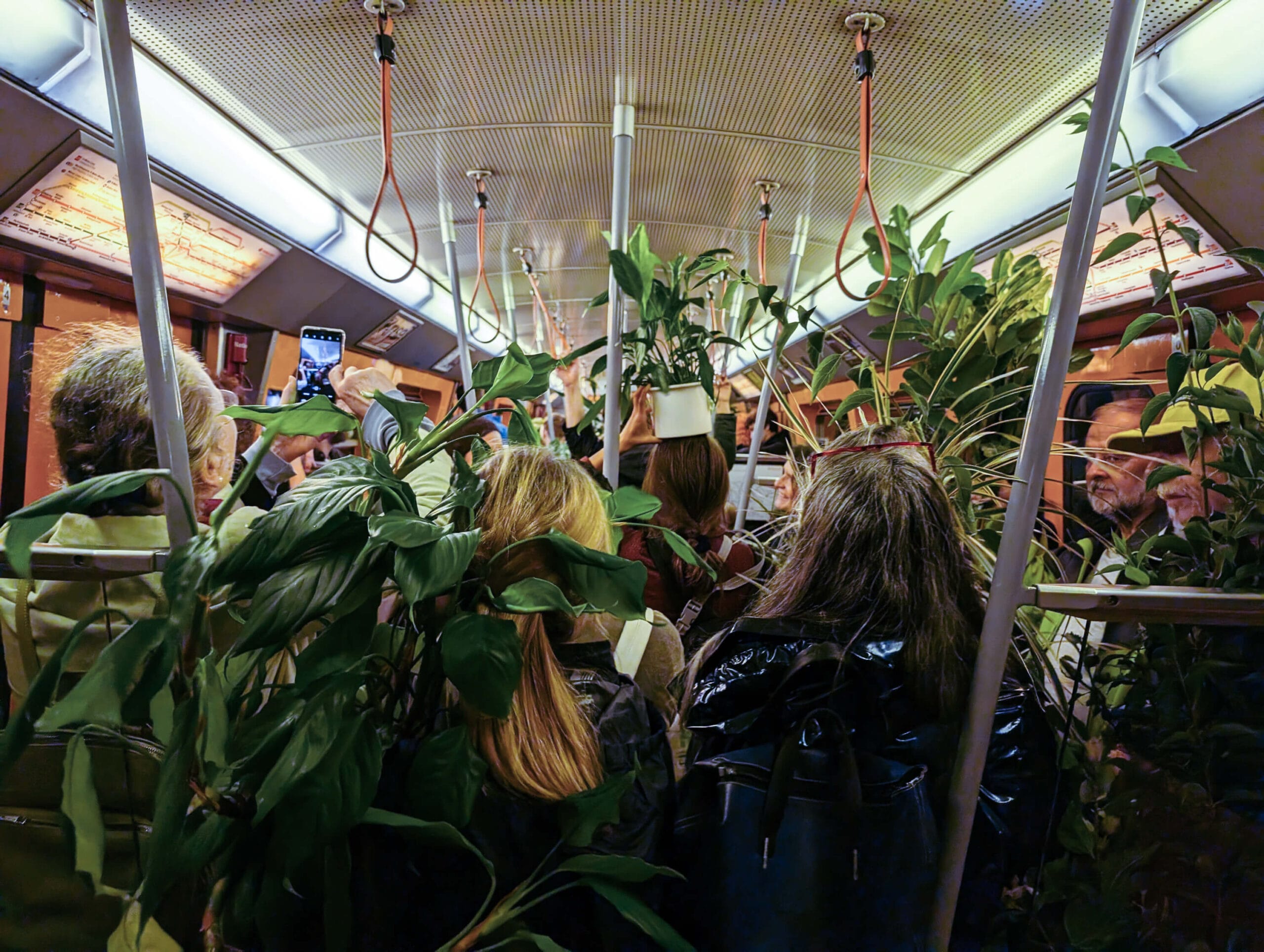 Artists For Future beim Renaturierungs Flashmob